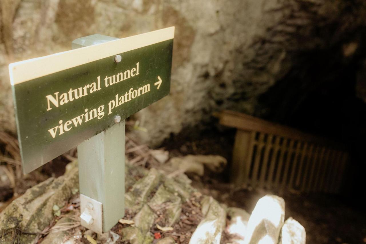 Waitomo Village Chalets Home Of Kiwipaka Waitomo Caves Εξωτερικό φωτογραφία